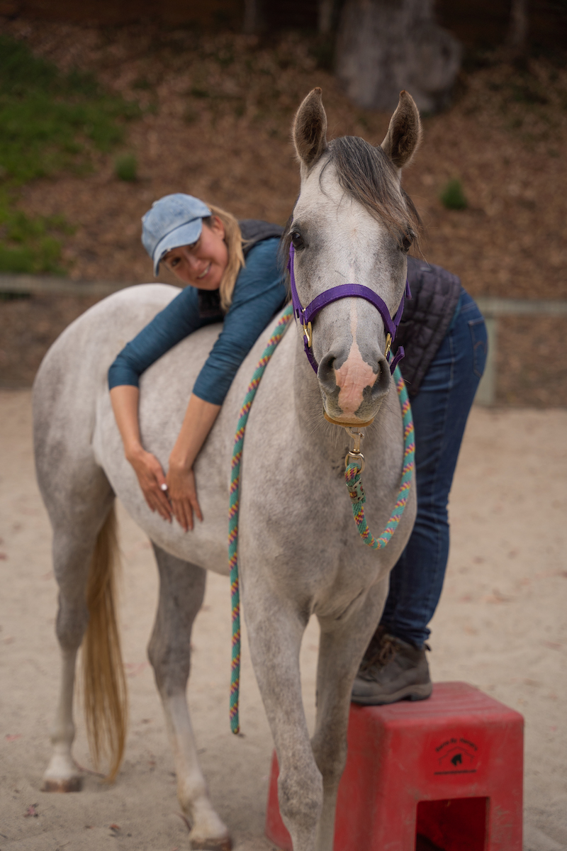 starting young horses