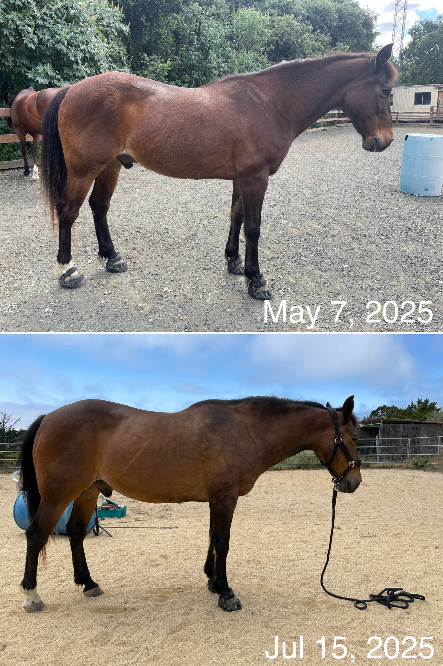 2 months of bodywork assisted training